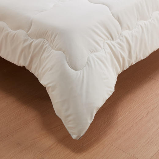  澳洲羊毛被床上用品被子被芯保暖被 商品图2