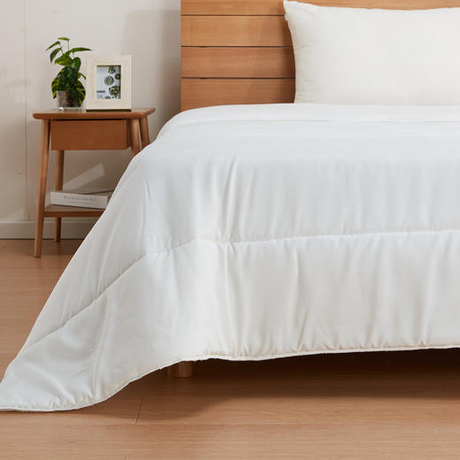  床上用品四季可用聚酯纤维被 商品图3