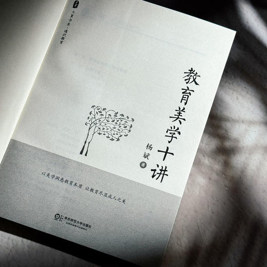 教育美学十讲 大夏书系 通识教育 中小学教师教育理论 杨斌 商品图5