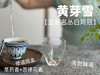 【家有好茶】武夷稀缺名丛白鸡冠《黄芽雪》，这口极难得做出来的药香鲜汤，已经等了2年！ 商品缩略图13