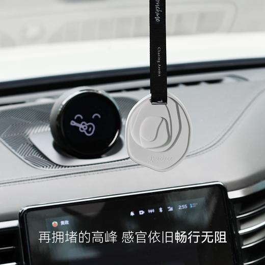 【限时抢购】车载香薰秒杀！拍3发9‼TTOUCHME白石香挂散香片衣柜香水可悬挂式香水 香薰衣橱石膏香片室内香氛 商品图3