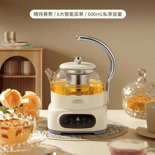 德世朗DDQ-SH229花茶壶—rxs 商品图0