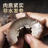 大连即食底播刺参500g/袋 商品缩略图2