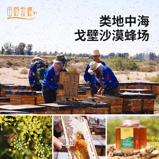 田野牧蜂茴香蜂蜜海拔3500米高原特色本草蜜珍稀好蜜 商品图2