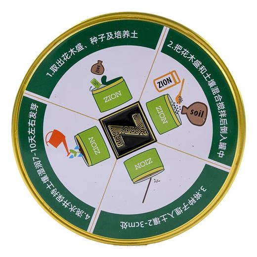 Mini种植套装(花卉型)/盒 商品图2