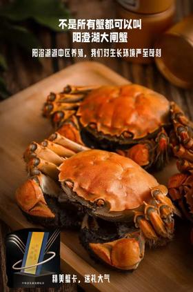 阳澄湖大闸蟹（暂不支持储值购买哟）