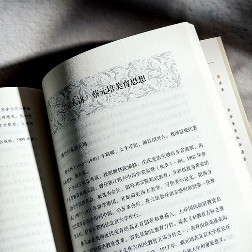 教育美学十讲 大夏书系 通识教育 中小学教师教育理论 杨斌 商品图13