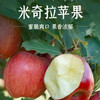 云南米奇拉苹果🍎2025新果上市啦[哇]
口感脆甜多汁，果香浓郁！每一口都是自然的馈赠～独家引进云南优质品种，果肉细腻无渣 商品缩略图4