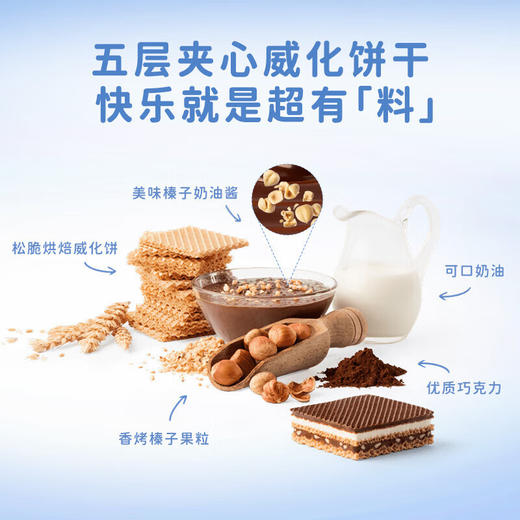 knoppers优力享 德国进口 牛奶巧克力威化饼干5包125g 商品图3
