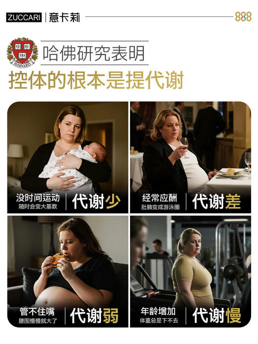 ZUCCARI 排油瘦体组合 金装版888代谢饮+菠萝消水宝 商品图1