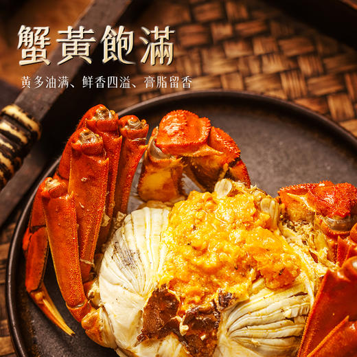 叮咚盒子大闸蟹2288型—rxs 商品图3