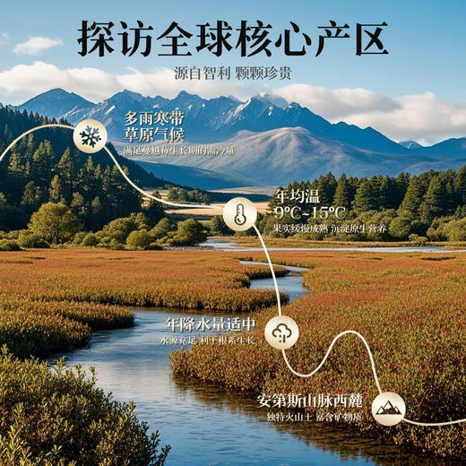 【百草味】小金罐系列 整颗蔓越莓干260g 商品图3