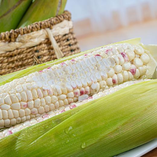 【广西花糯玉米】香甜软糯，颗粒饱满 商品图3