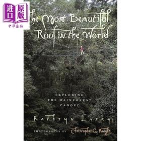 预售 【中商原版】世界上至美的屋顶 探索雨林的树冠 The Most Beautiful Roof in the World 英文原版 科普绘本 进口童书 小初文学