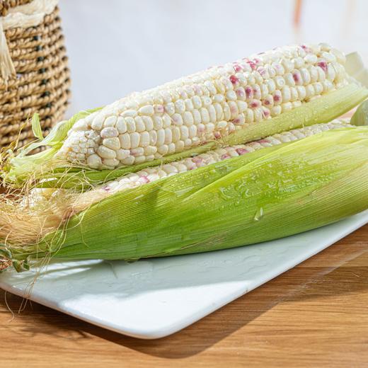【广西花糯玉米】香甜软糯，颗粒饱满 商品图4