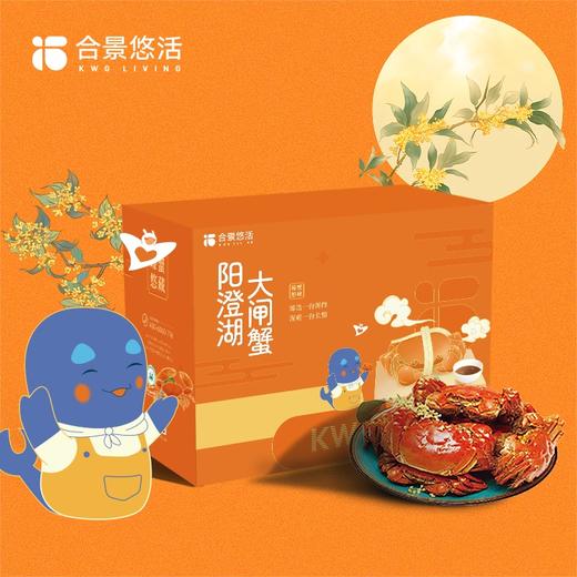 【合景悠活】苏州阳澄湖大闸蟹 产地直供 源头正品 商品图0
