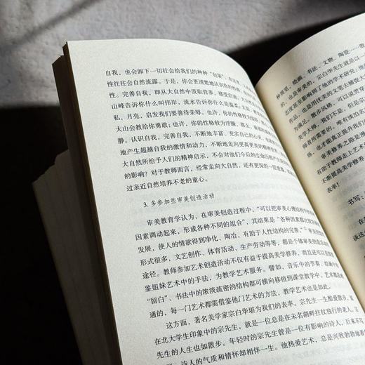 教育美学十讲 大夏书系 通识教育 中小学教师教育理论 杨斌 商品图12