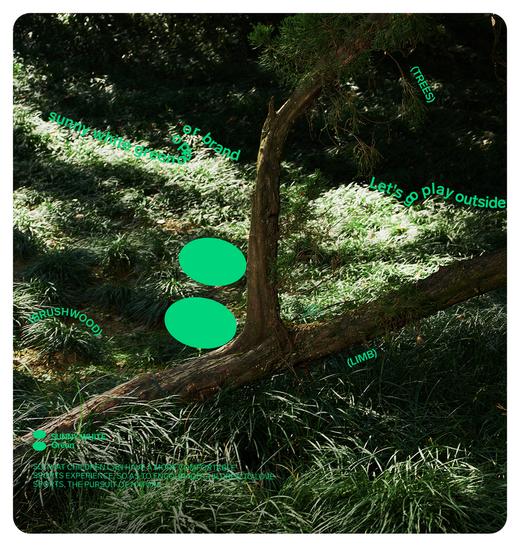 【代发】绿标云翼T儿童秋季长袖上衣大童 SUNNYWHITEGreen 商品图4