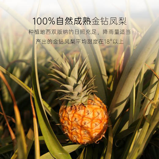 【疯狂星期五】几分之几 果干系列 商品图5