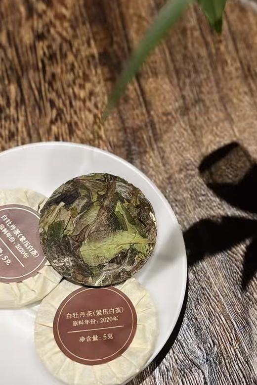 小罐茶园 金标系列白牡丹茶2.0版 商品图10