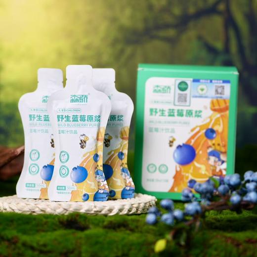 野生蓝莓原浆（儿童款） 商品图0