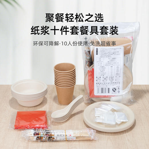 喇叭花纸浆一次性餐具套装杯盘碗筷手套露营聚餐野餐烧烤10人份 商品图0