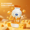 夏进芝士牛奶243ml×15瓶 商品缩略图4