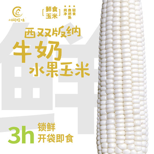 西双版纳圣甜白珠 分段水果玉米 1kg（一袋10~12段左右） 商品图4