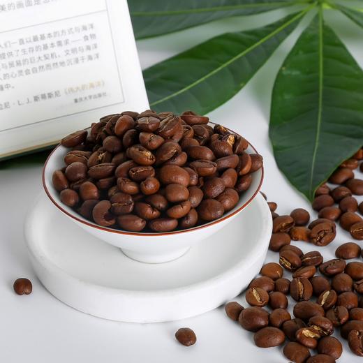 蓝山风味咖啡豆1000g装手冲磨粉美式黑咖精品咖啡豆新款新品新款新品 商品图2