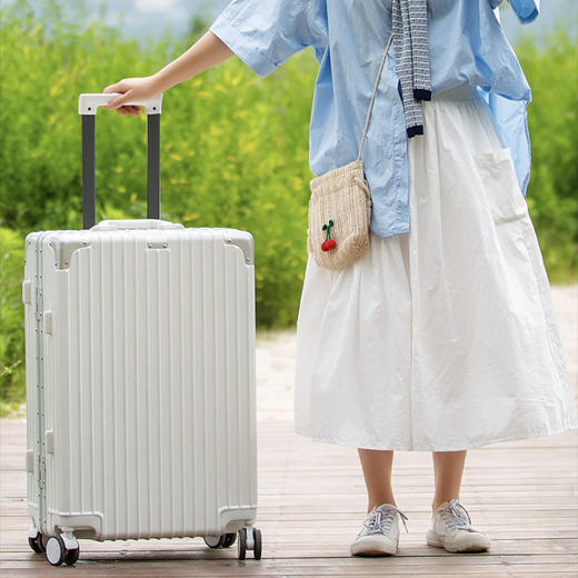 洛克兰遇见系列铝框箱CRX101C白色/黑色—rxs 商品图9