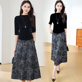 XYKL-25B05时尚印花两件套连衣裙女新款2025年秋季韩版气质优雅女装潮流裙子