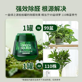 绿之源  强劲除醛拍拍罐 1罐装 Z-6167