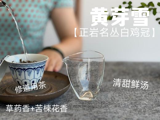 【家有好茶】武夷稀缺名丛白鸡冠《黄芽雪》，这口极难得做出来的药香鲜汤，已经等了2年！ 商品图8