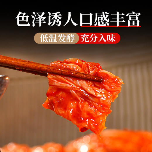 朴小样韩式辣白菜正宗韩国风味泡菜延边朝鲜族下饭小菜袋装免切 商品图2