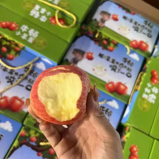 云南米奇拉苹果🍎2025新果上市啦[哇]
口感脆甜多汁，果香浓郁！每一口都是自然的馈赠～独家引进云南优质品种，果肉细腻无渣 商品图0