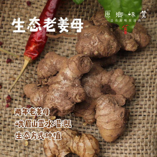 生态小黄姜（成都仓库-顺丰包邮 ）｜2斤/箱，来自四川峨眉山，生产者：张书华【合作生产，公平贸易】 商品图8