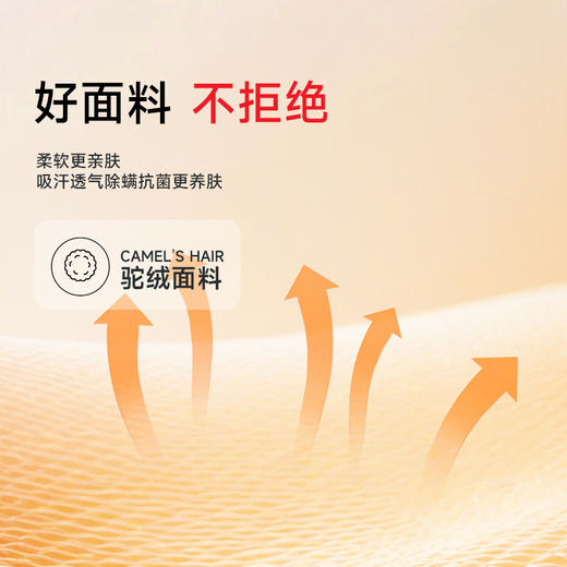 【DK】大依优型大码圆领保暖打底衫胖子中高圆领驼绒T恤保暖打底衫男士秋冬款加肥大码长袖休闲 商品图2