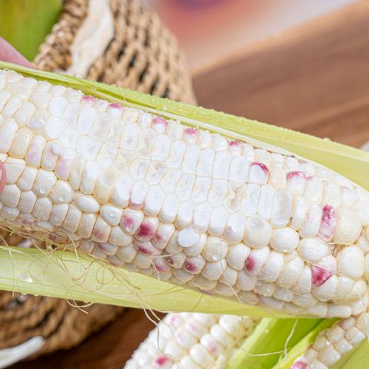 【广西花糯玉米】香甜软糯，颗粒饱满 商品图2