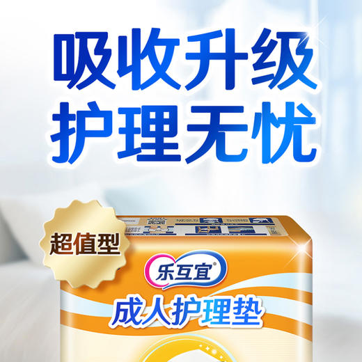乐互宜基础型成人护理垫60*90 10片装*12包_xd 商品图5