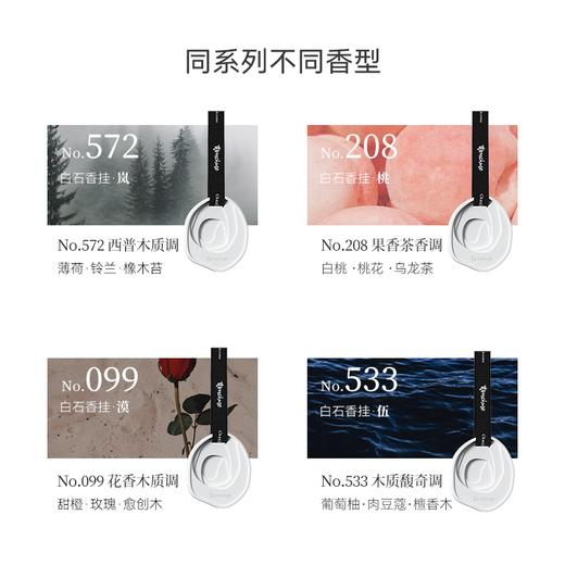 【限时抢购】车载香薰秒杀！拍3发9‼TTOUCHME白石香挂散香片衣柜香水可悬挂式香水 香薰衣橱石膏香片室内香氛 商品图6