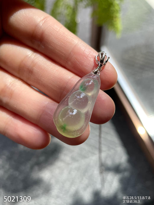 5021309，福豆吊坠。具体价格微信咨询 商品图5