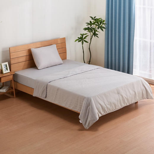 卧室四季可用抗菌薄被酒店系列S2522水洗波里S2528 商品图1