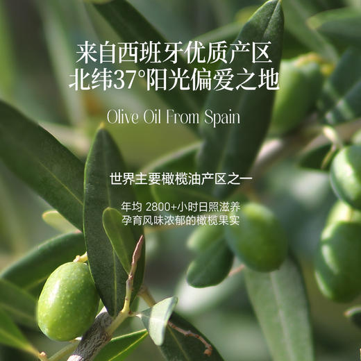 【OMEGA9系列】冷吃特级初榨橄榄油250ml 商品图2