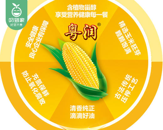 粤润玉米王压榨玉米胚芽油/1组（5L+赠植物调和油400ml）生产日期：25年8月补单专用 商品图3