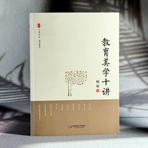 教育美学十讲 大夏书系 通识教育 中小学教师教育理论 杨斌 商品图3