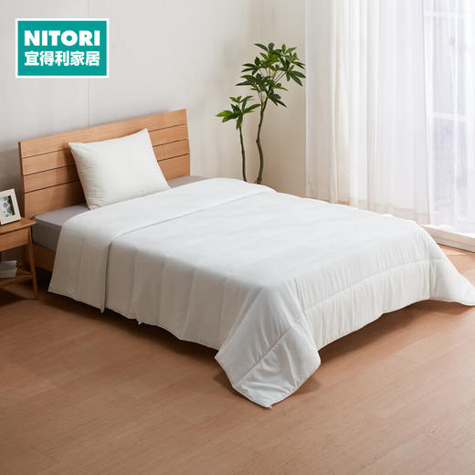  床上用品四季可用聚酯纤维被 商品图0