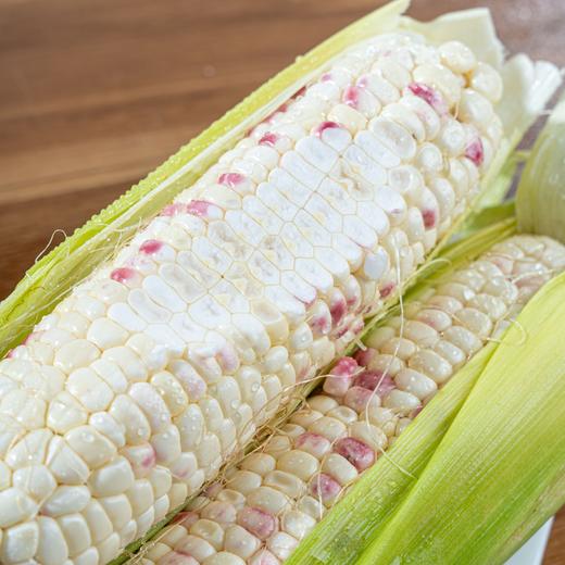 【广西花糯玉米】香甜软糯，颗粒饱满 商品图0