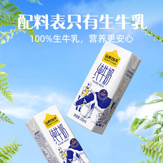 认养一头牛250柳叶普通纯（线下3.6）12入 250ml*12盒 —rxs 商品图0