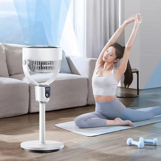 【快递包邮】艾美特FA18-X168循环扇 商品图3