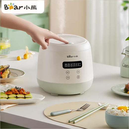 小熊DFB-Q20B2电饭煲[DQ6] 商品图0